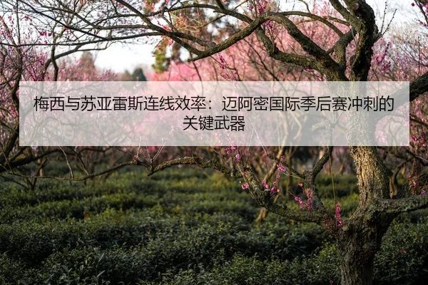 梅西与苏亚雷斯连线效率：迈阿密国际季后赛冲刺的关键武器