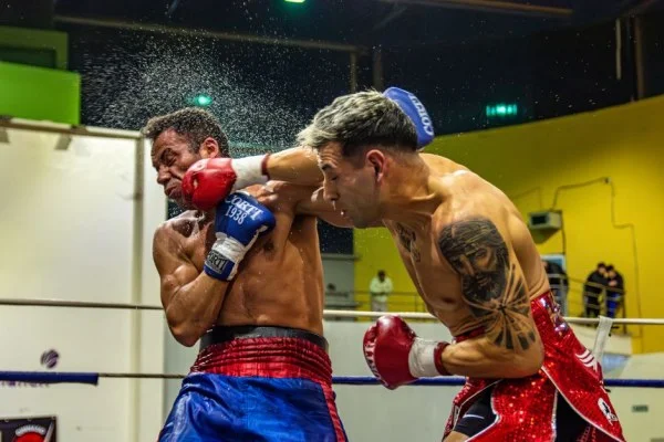 boxer knockout punch